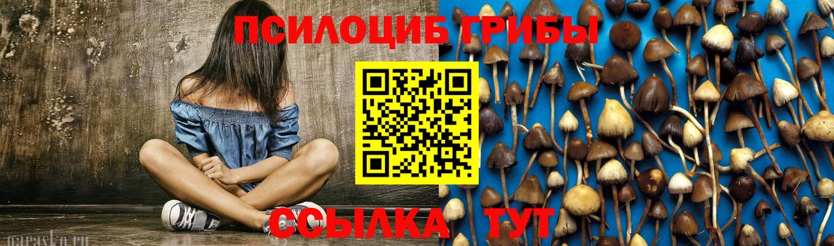Галлюциногенные грибы прущие грибы Верхняя Салда